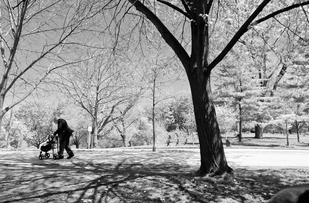 Walking In The Park