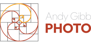 andy gibb photo logo